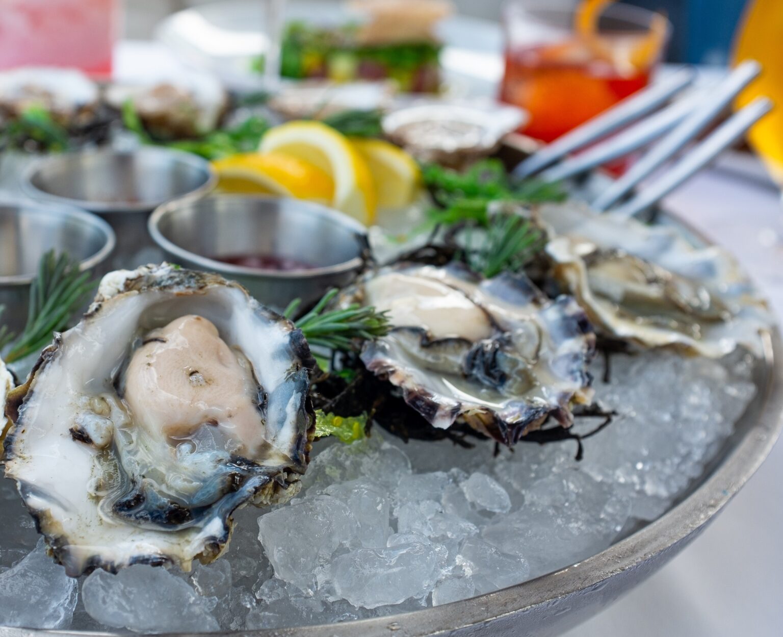 Stake Chophouse & Bar Coronado Visitor Center