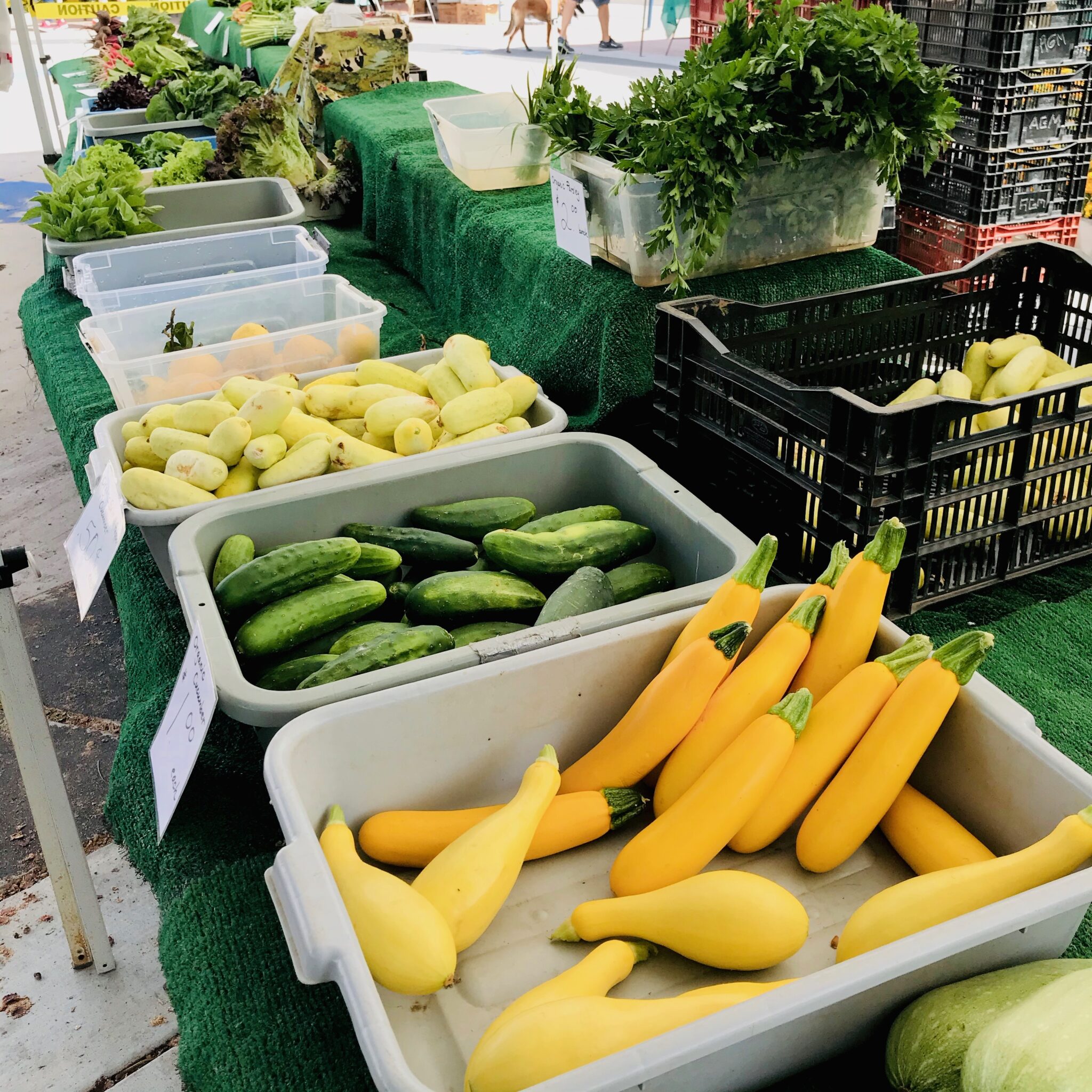 coronado-farmers-market-coronado-visitor-center