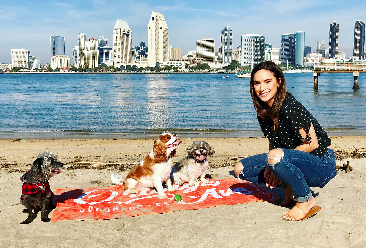 Pet Friendly Coronado Coronado Visitor Center